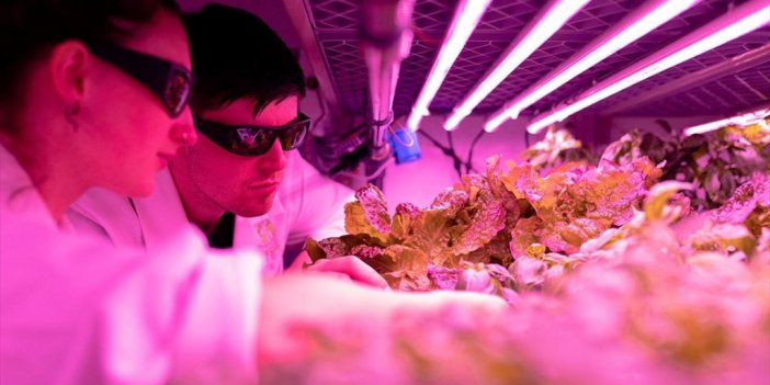 2021 Yılının 'yükselen' 10 Teknolojisi Belirlendi