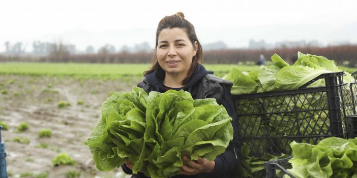 Aydın Büyükşehir, Çiftçilere Alım Desteğini Sürdürüyor
