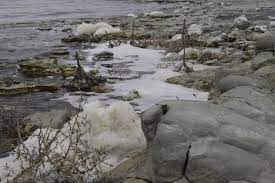 Burdur Gölü köpüklendi, uzmanlar 'doğal süreç' dedi