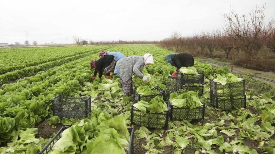 Aydın Büyükşehir Belediyesi'nden alkışlanacak hareket