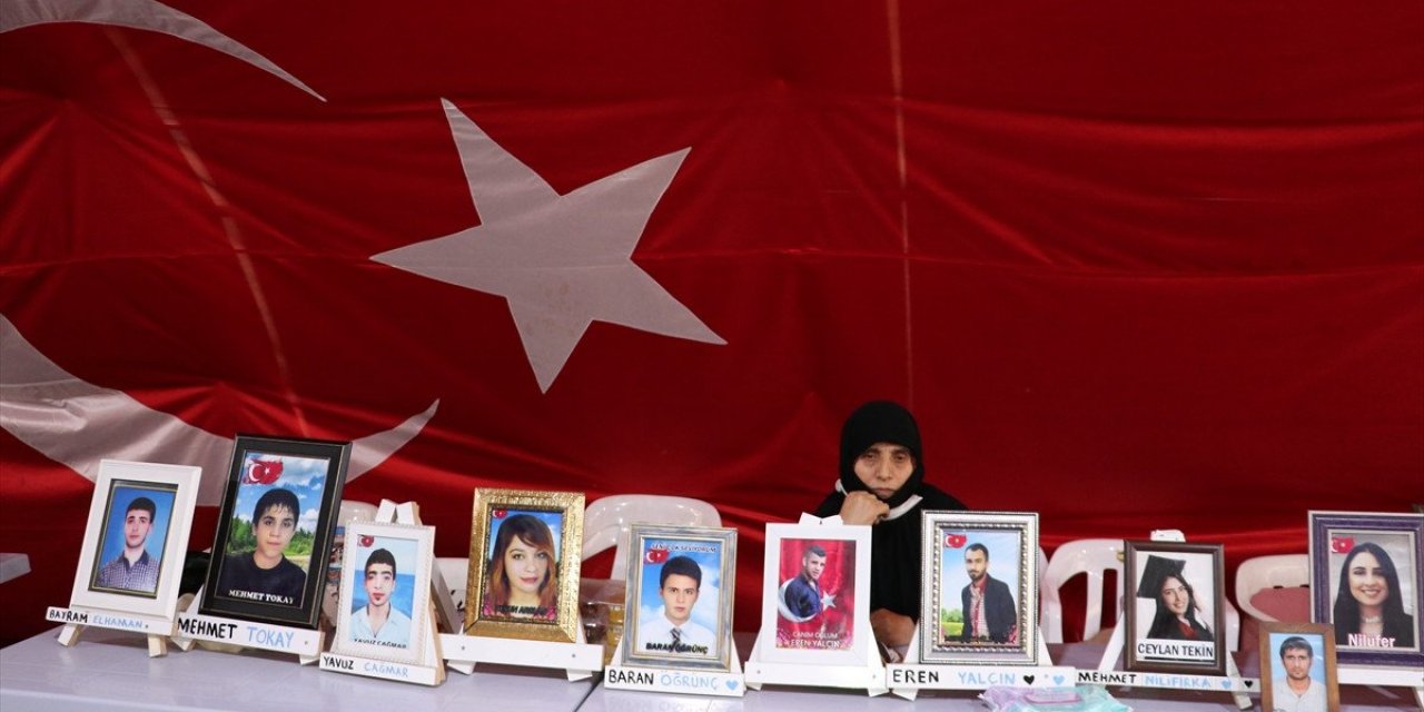 Diyarbakır annesi Gökkuş: Oğlumu HDP kaçırdı, PKK'ya verdi