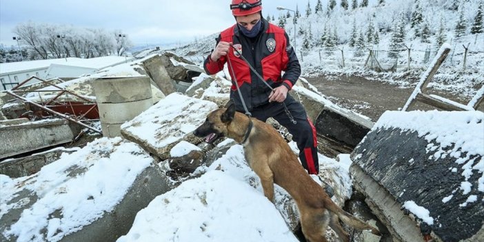 Pak'ın 'hassas Burunlar'ı Arama Kurtarma Faaliyetleri İçin Sıkı Eğitimden Geçiyor