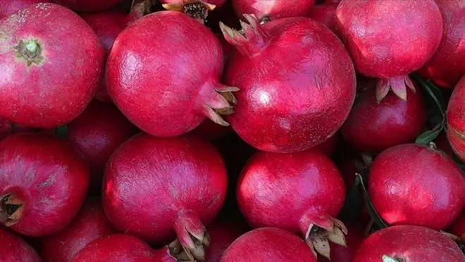 Rusya, Türkiye'den meyve alımını durdurdu!