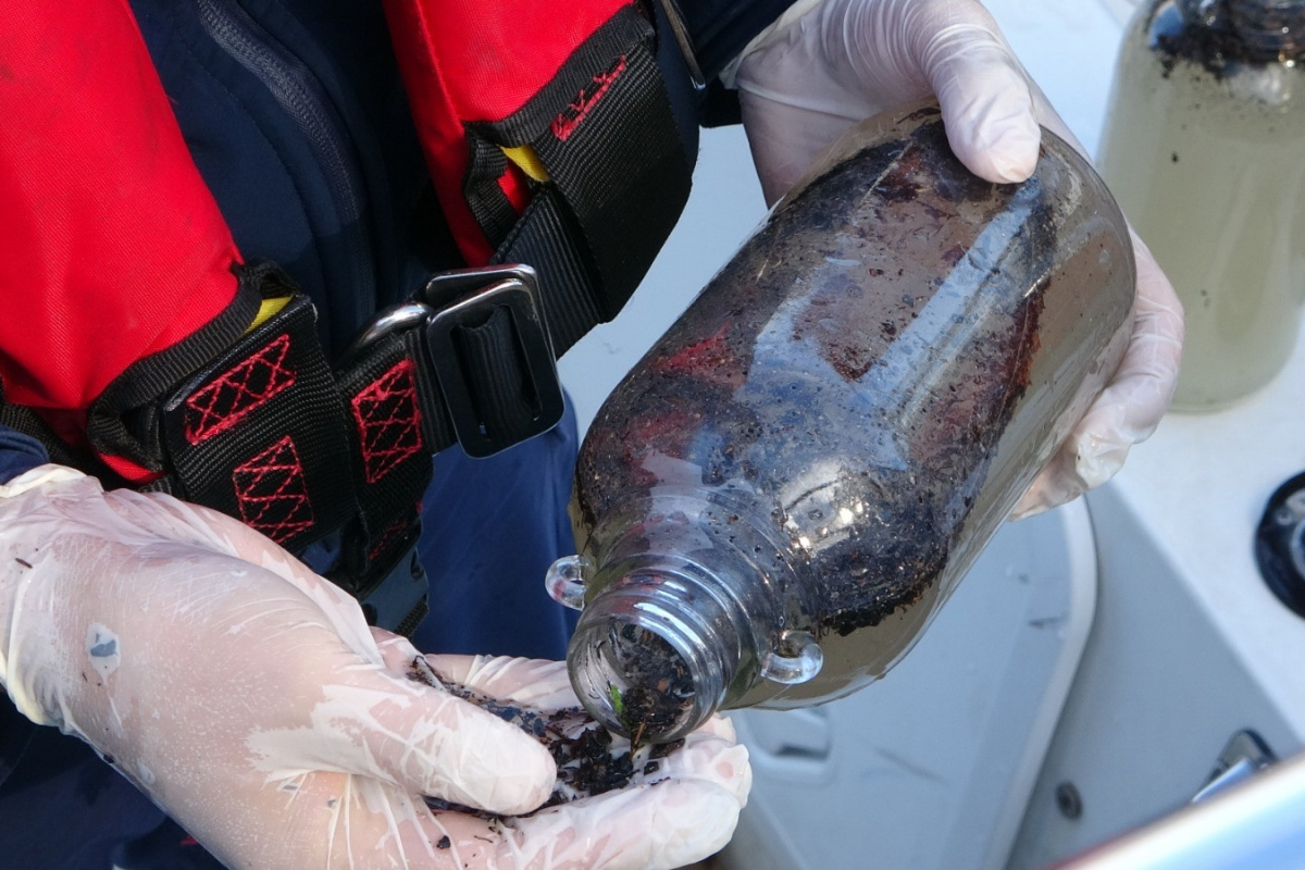 Manavgat yangını, küllerini 5 ay sonra sel sularıyla ırmağa döktü