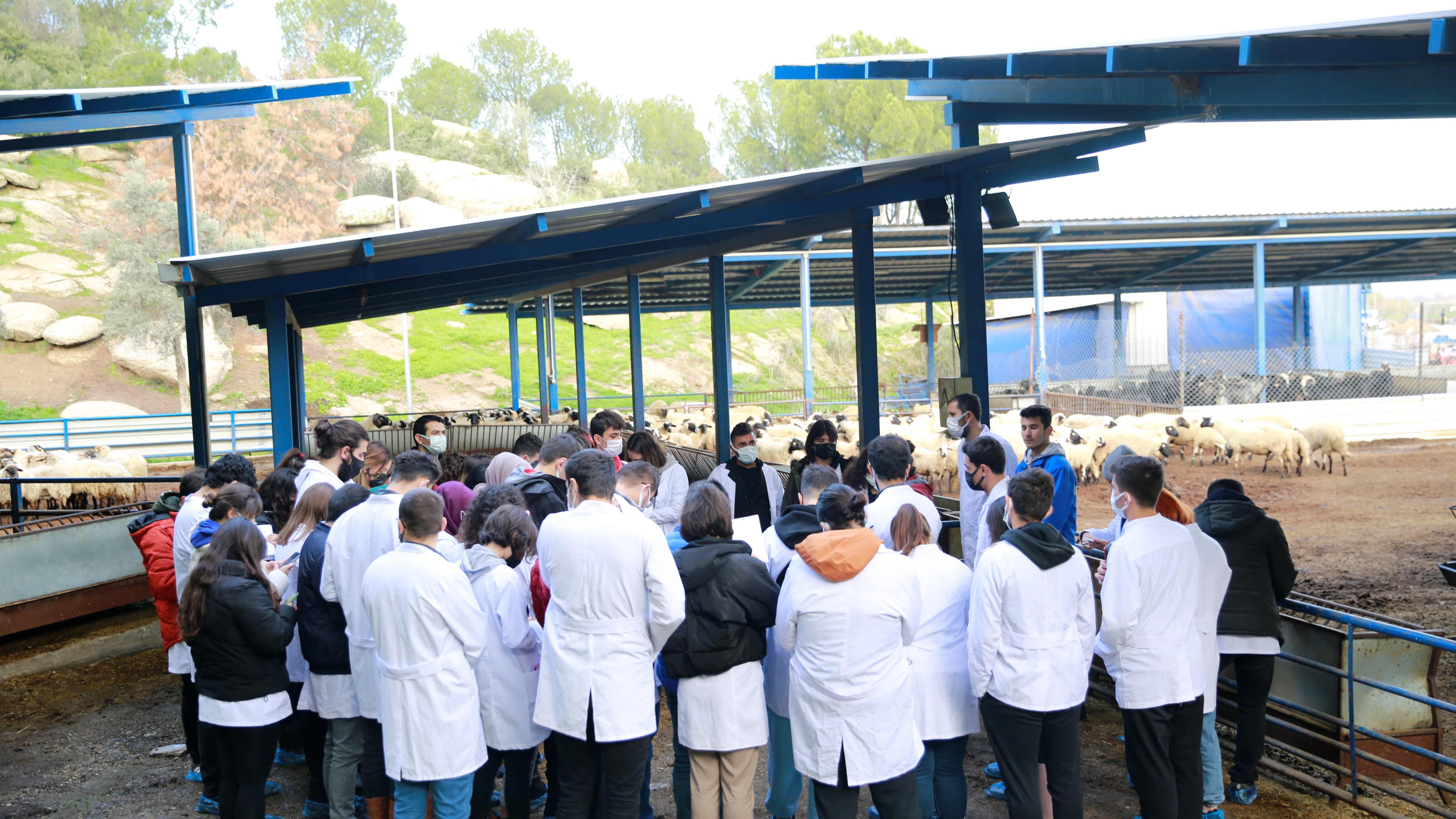 AYDIN BÜYÜKŞEHİR BELEDİYESİ’NİN SAKIZ KOYUNU ÇİFTLİĞİ AKADEMİ’YE DE HİZMET EDİYOR