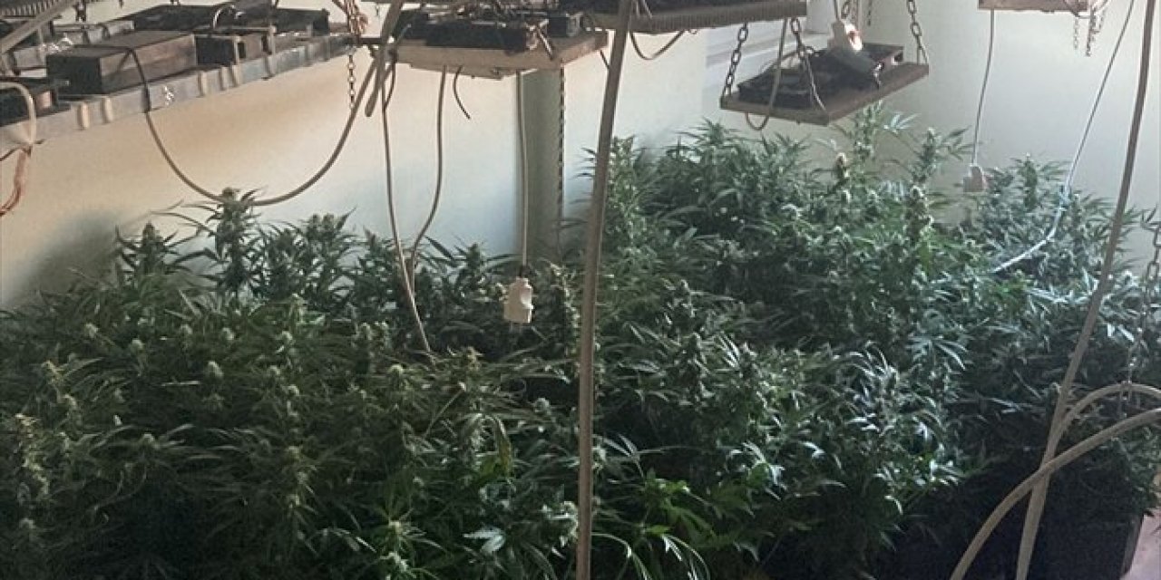 İzmir'de kaçak elektrik kullanılan evde uyuşturucu yetiştirdiler