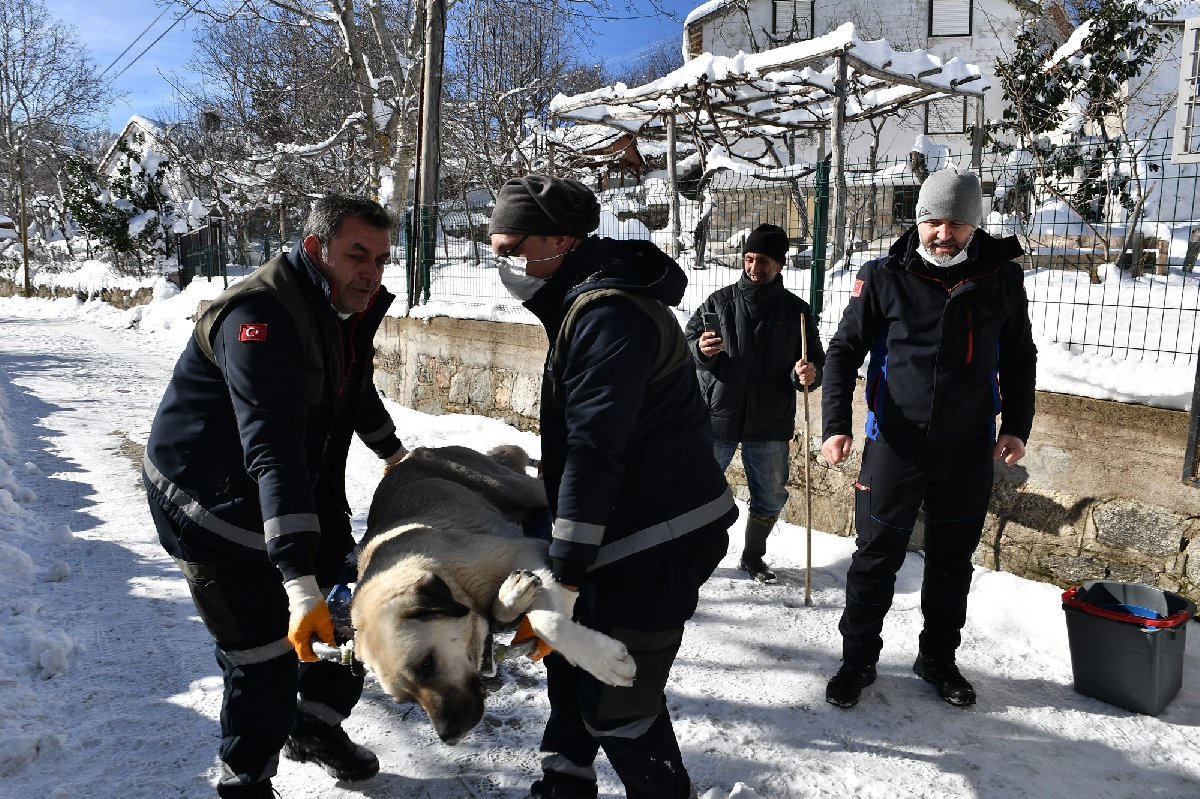 HAYTAP Başkanı isyan etti: Adam karısını dövdü diye bütün erkekleri hapse mi tıkıyorsunuz