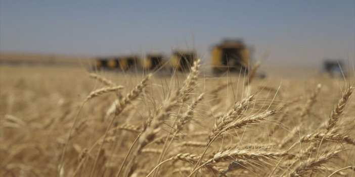 Küresel İklim Değişikliği Tarımsal Üretimde Büyük Verim Kayıplarına Yol Açıyor