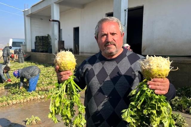 Üreticiden 2,50 TL'ye çıkıyor! Markette ise 8,50 TL'ye satılıyor