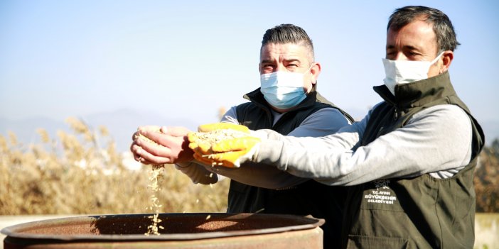 ‘TOPUKLU EFE’ ARPA ÜRETİMİNİ DE BAŞLATTI