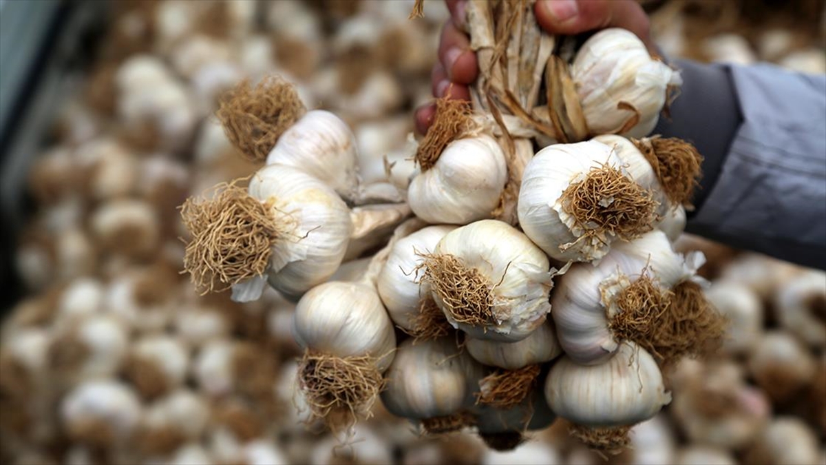 2021'de Fiyatı En Fazla Artan Ürün Kağıt, En Fazla Düşen Sarımsak Oldu
