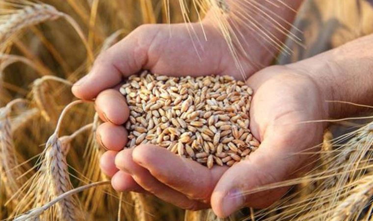 Buğday ve Arpaya Zam