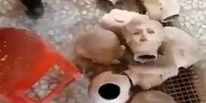 Taliban cansız mankenleri kesti