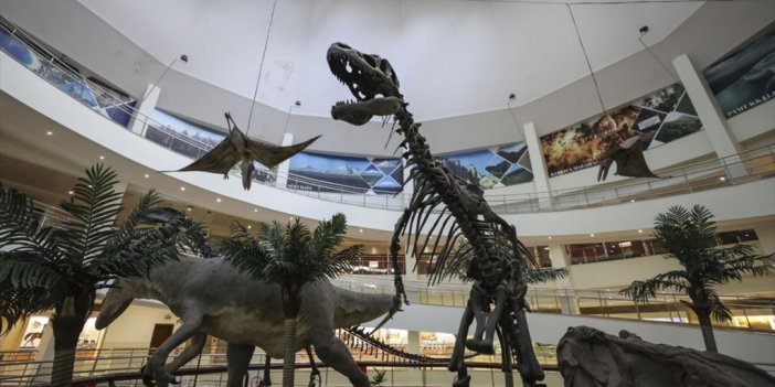 Tabiat Tarihi Müzesi Ve Enerji Parkı 3 Yılda 1 Milyon Ziyaretçi Ağırladı