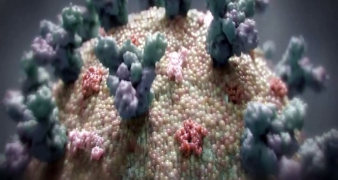 DSÖ: 'Omicron mutasyonu Delta'dan daha az şiddetli olsa da ‘hafif' değil'