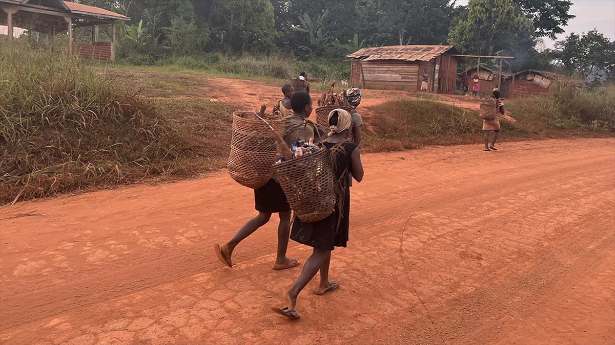 Kamerun’da Pigmeler 5 Bin Yıldır Yaşadıkları Ormanlardan Zorla Çıkartılıyor