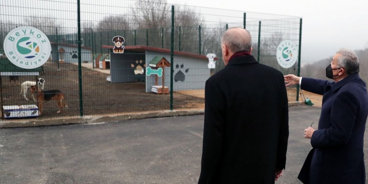 Mustafa Varank'tan Nevşin Mengü'ye: Müzmin muhaliflik dünyanın en amansız hastalığı