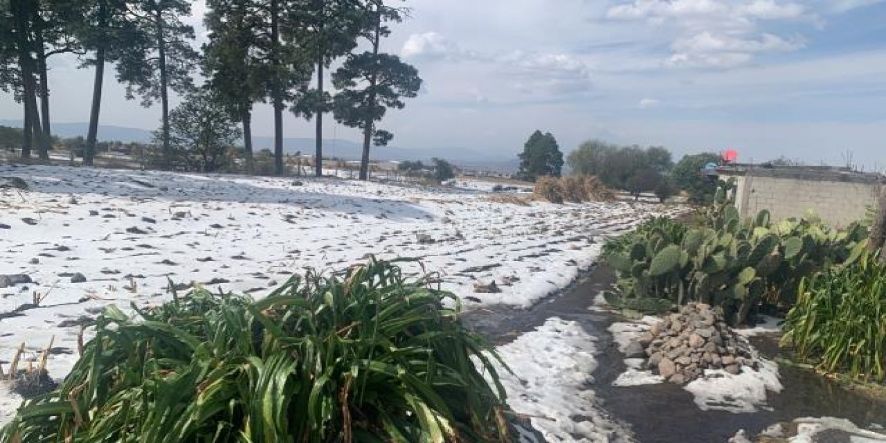 Meksika'nın o şehrine tarihte ilk kez kar yağdı! Vatandaşlar büyük şaşkınlık yaşadı