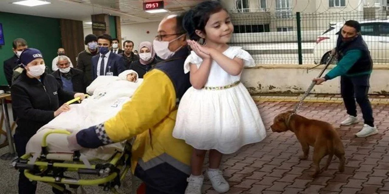 Rektör Özkan: Asiye'nin yüz felci var