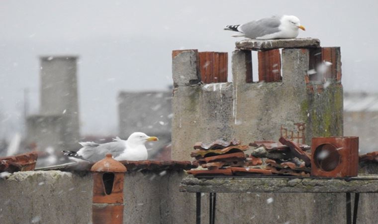 Balkanlar’dan gelen kar yağışı Edirne’de başladı