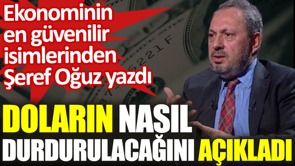 Ekonominin en güvenilir isimlerinden Şeref Oğuz doların nasıl durdurulacağını açıkladı