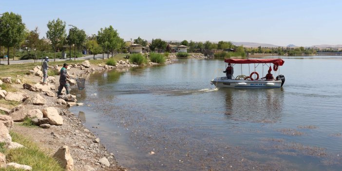 BELPLAS A.Ş. GÖL VE GÖLETLERİN TEMİZLİĞİ İÇİN FAYDALI MİKROORGANİZMA ÜRETTİ