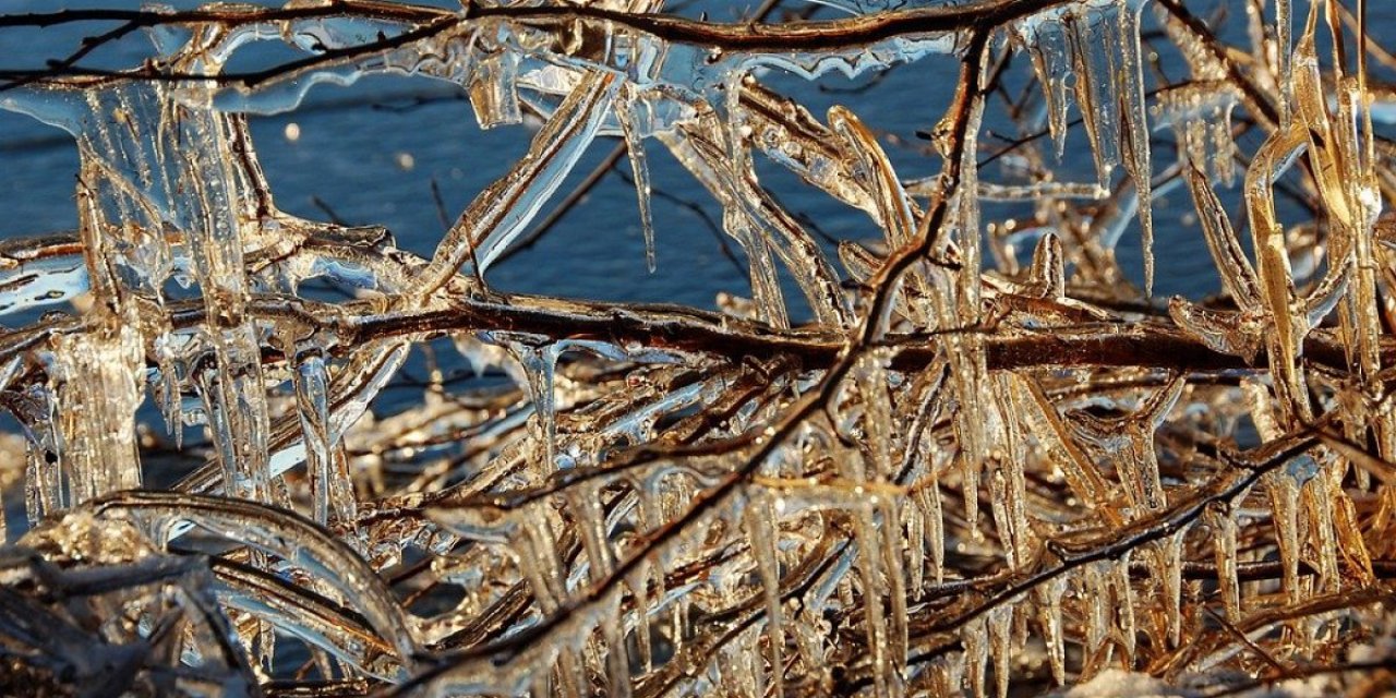 Meteoroloji il il uyardı, bazı illerde 17 Ocak'a kadar zirai don olacak