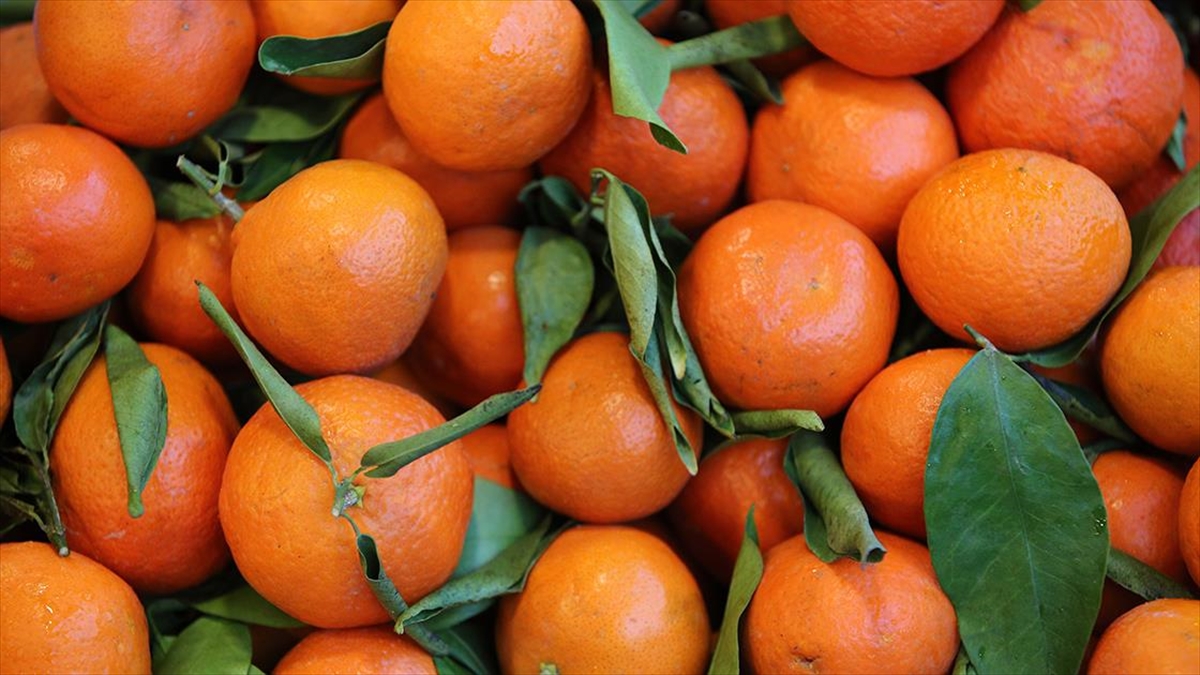 Narenciye Sektörü, Bahçe İle Market Arasındaki Yüksek Fiyat Farkından Şikayetçi