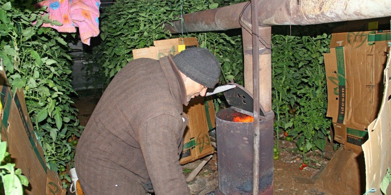 Muğla'da seracıların sobalı zirai don nöbeti