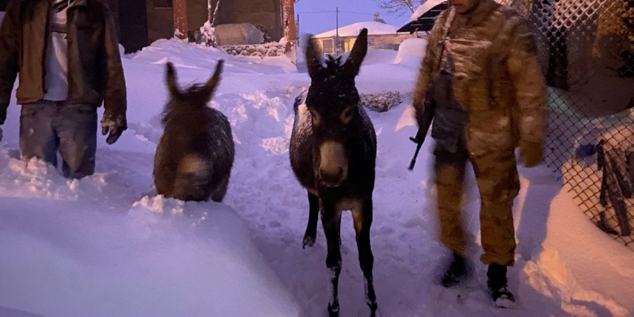 Elazığ’da donmak üzere olan hayvanlar Belediye ve Jandarma tarafından kurtarıldı