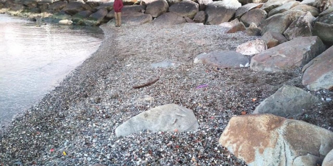 Bandırma'da deniz 10 metre geri çekildi