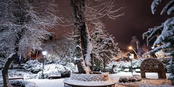 Ankara'nın Simgelerinden Kuğulu Park Beyaza Büründü