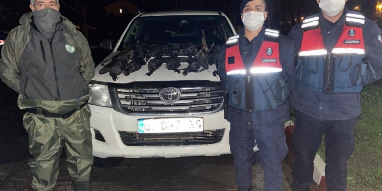 Adana'da sakarmeke avlamaya 23 bin 77 TL ceza