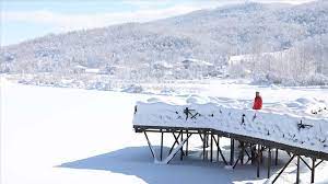 Samsun'da Ladik Gölü'nün Yüzeyi Buzla Kaplandı