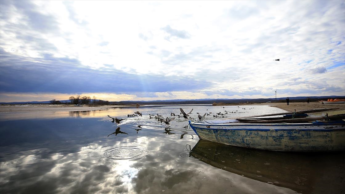 İğneada Longozları Birçok Canlı Türü Ve Biyolojik Çeşitliliği Barındırıyor