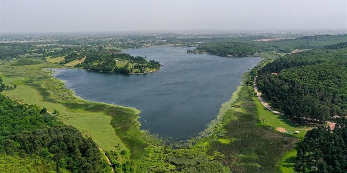 Sulak Alanlar Hem Suyu Temizliyor Hem De Erozyon Kontrolü Sağlıyor