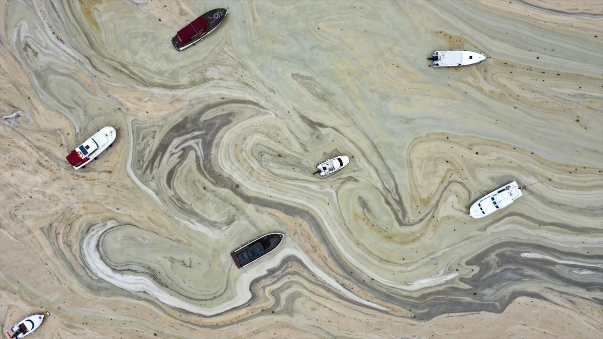 2021 Farklı Doğal Afetlerin Yaşandığı Bir Yıl Oldu