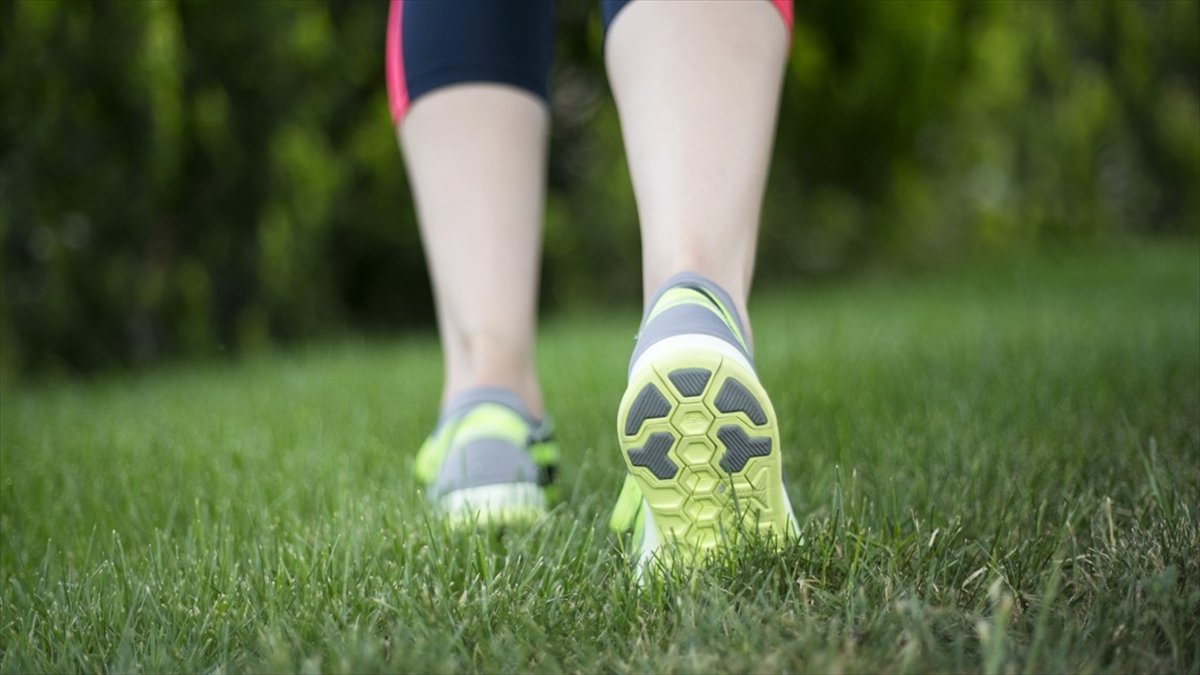 Obezite Ve Egzersizden Uzak Bir Yaşam Meme Kanseri Riskini Artırıyor