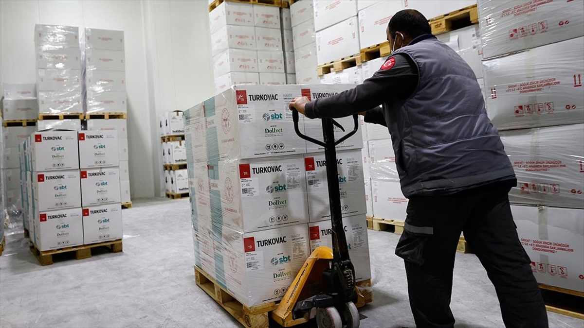 Yerli Aşı Turkovac'ın Yeni Serilerinin Sevkiyatı Başladı