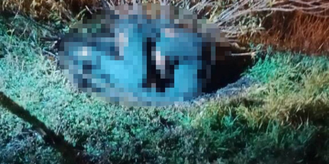 İzmir'de valizden çıkan cesedin kimliği belli oldu