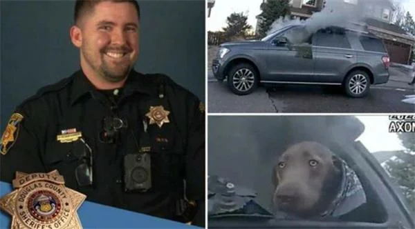 Polis yanan arabanın içinde mahsur kalan köpeği kurtardı