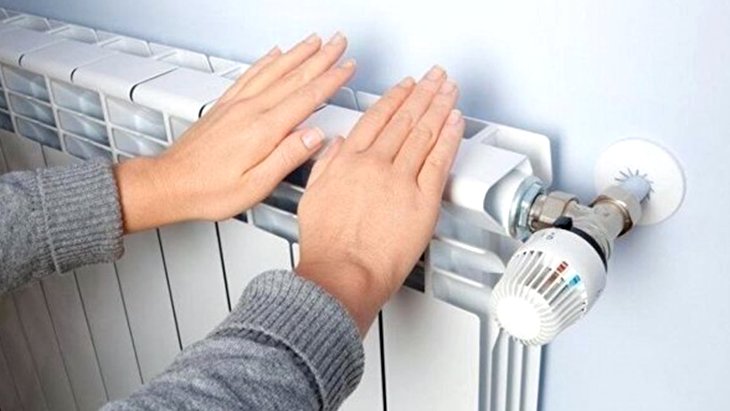 Aile Bakanı Yanık, Erdoğan'ın duyurduğu doğal gaz desteğinin miktarını açıkladı