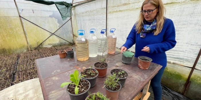 Tıbbi Ve Aromatik Bitki Fidesi Bulmakta Zorlanan Kadın, Girişimci Oldu