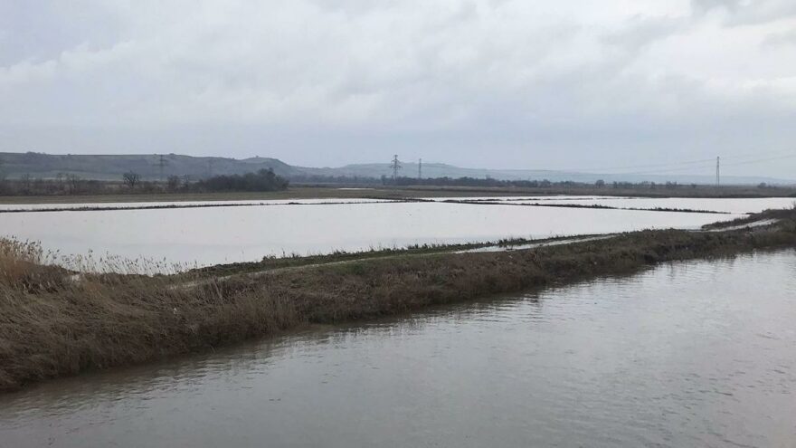 Nehir taştı! Binlerce dönüm tarım arazisi sular altında