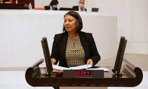 HDP’Lİ KAYA, MECLİS PERSONELİNİN MAAŞ VE ÖZLÜK HAKLARINI ŞENTOP'A SORDU