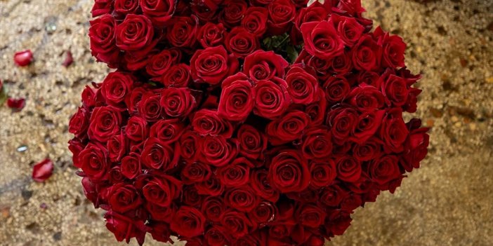 Sevgililer Günü'nün Simgesi Gülde Geçen Yıl İhracat Rekoru Kırıldı