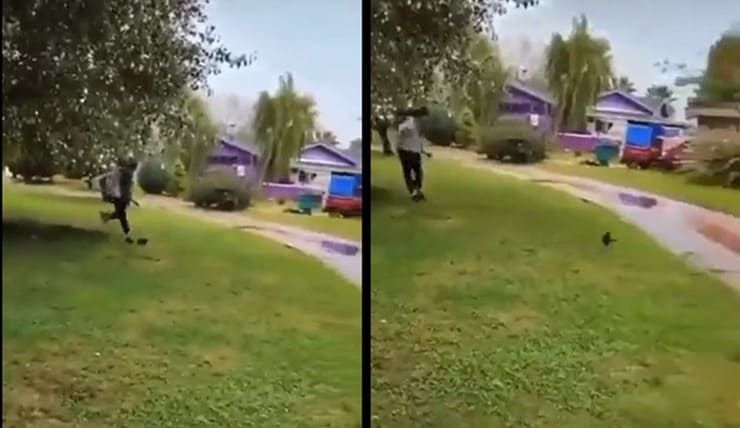 Kedi yavrusuna tekme atan çocuk için beş yıla kadar hapis cezası istendi