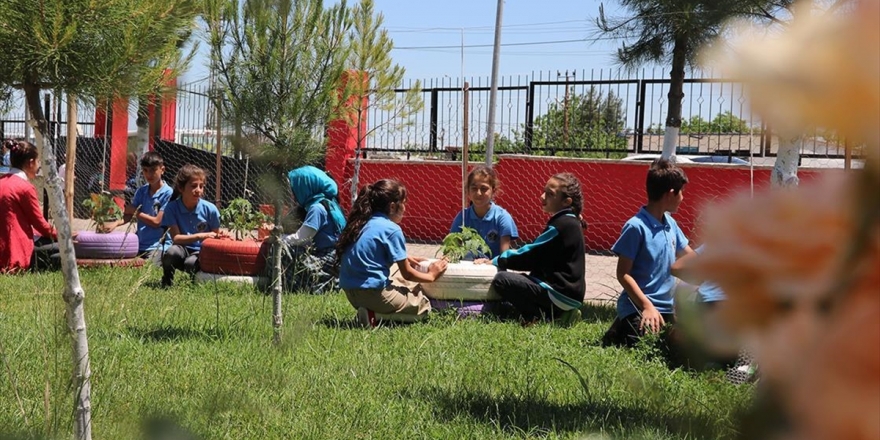 Okulda Hayvan Ve Bitkilere Dokunarak Öğreniyorlar