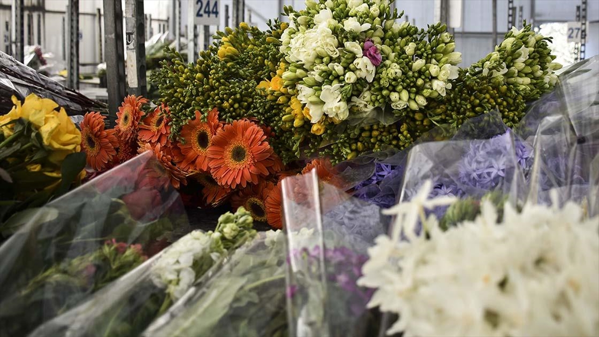 İstanbul'un Çiçekçileri 14 Şubat'a Hazırlanıyor