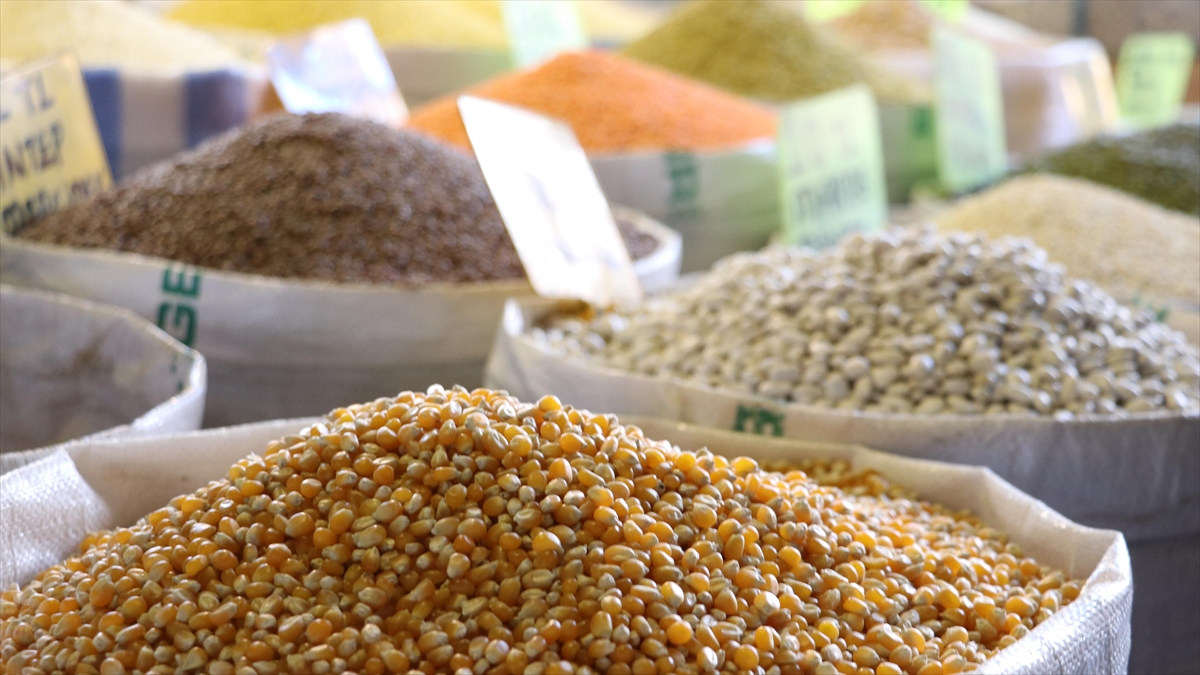 Hububat, Bakliyat Ve Yağlı Tohum İhracatında Hedef 11 Milyar Dolar